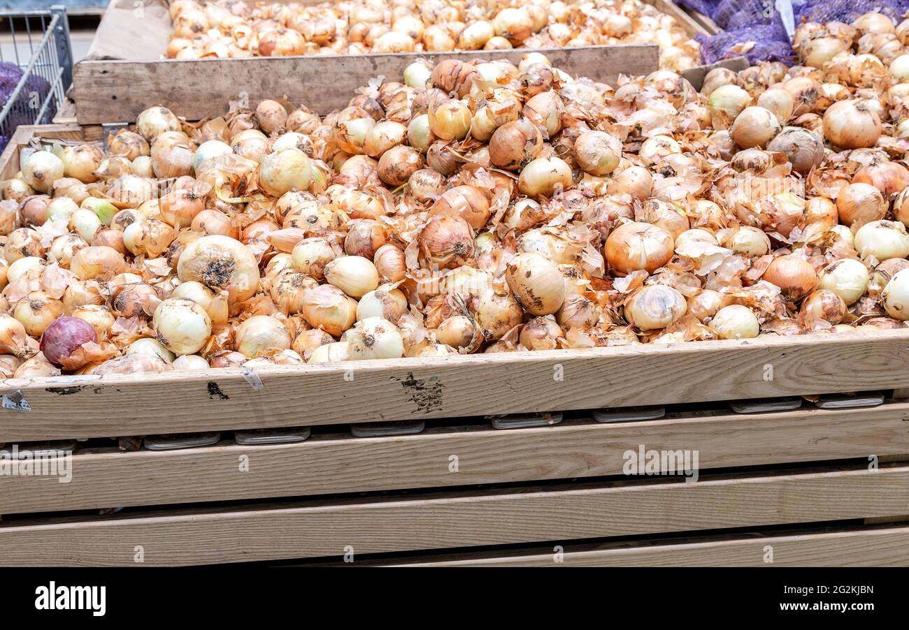 Frische Zwiebeln der neuen Ernte werden im Lebensmittelgeschäft verkauft Stockfoto