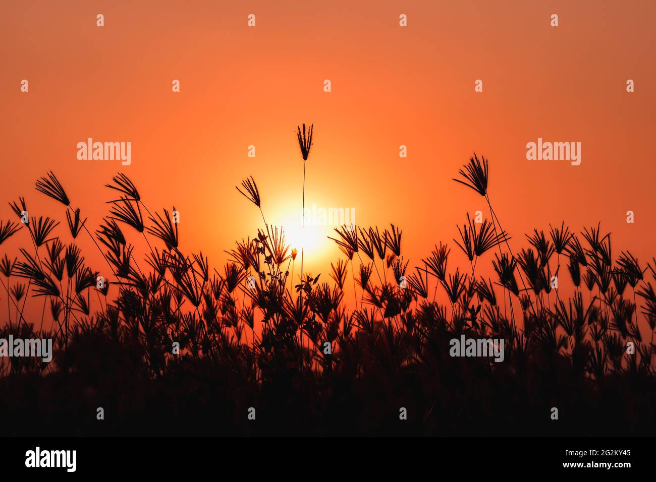 Blauorange Landschaft Hintergrund. Herbst Sonnenuntergang Stockfoto