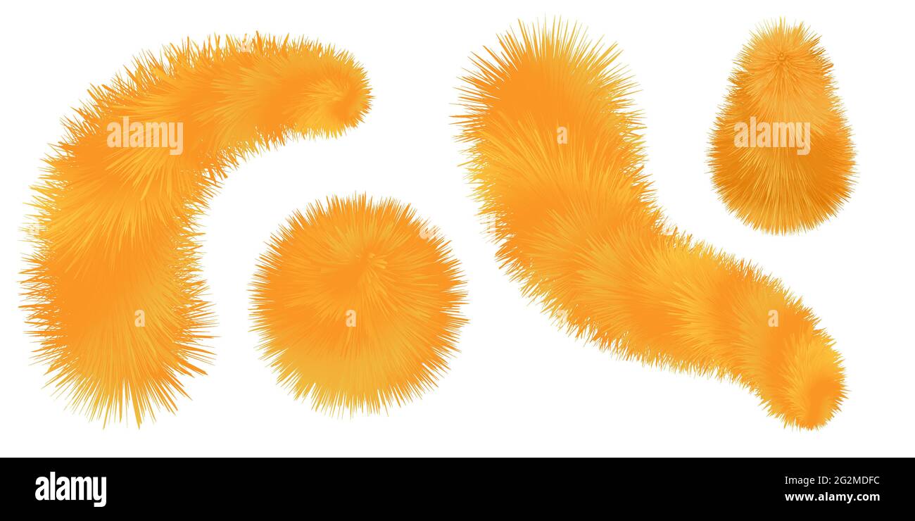 Pelzige Fuchsbürste, orangefarbene Pompons und Kugeln. Flauschige Fellstruktur. Satz isolierter Elemente auf weißem Hintergrund. Vektorgrafik Stock Vektor