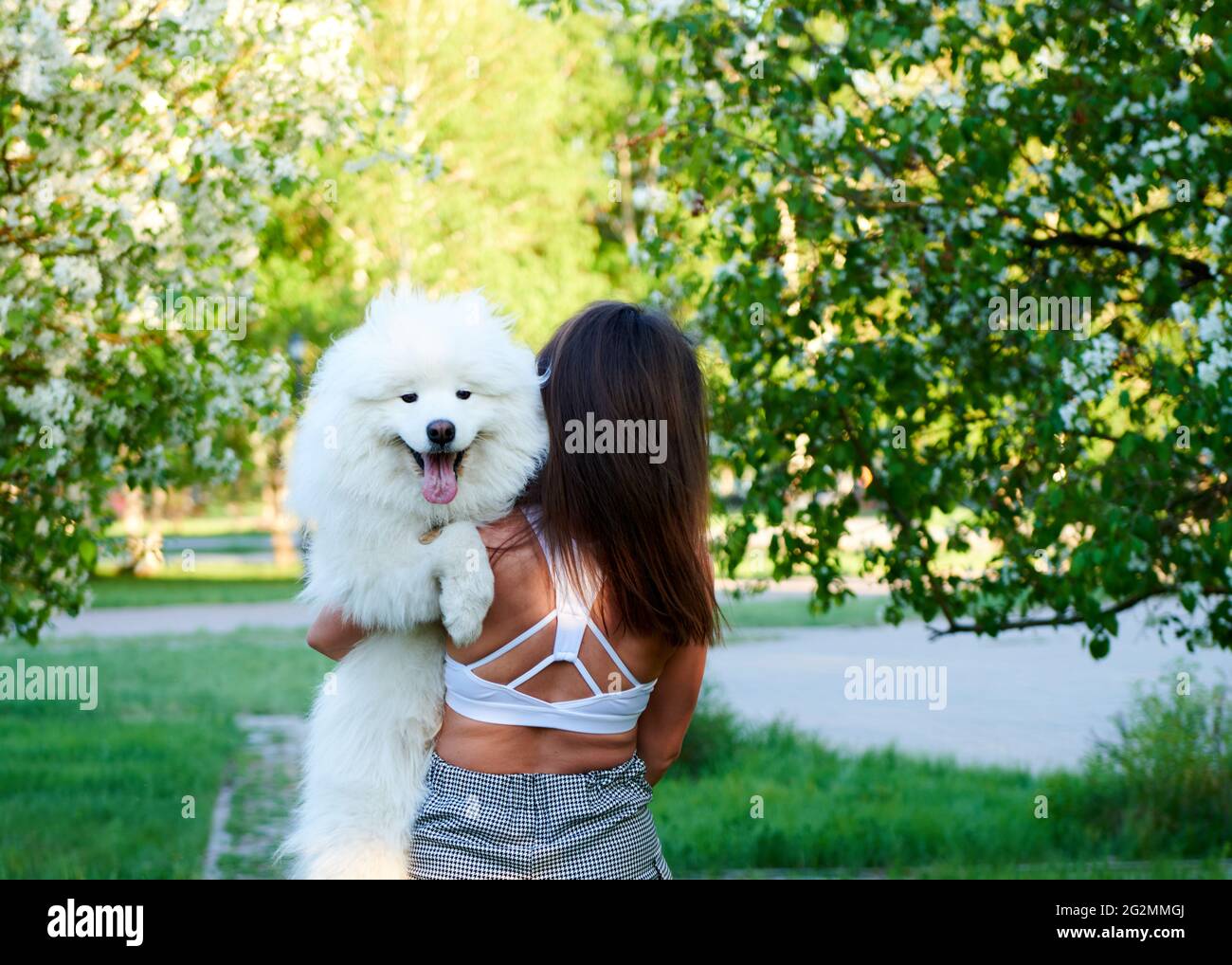 Hinter den Armen des Mädchens ein fröhlicher Hund Stockfoto