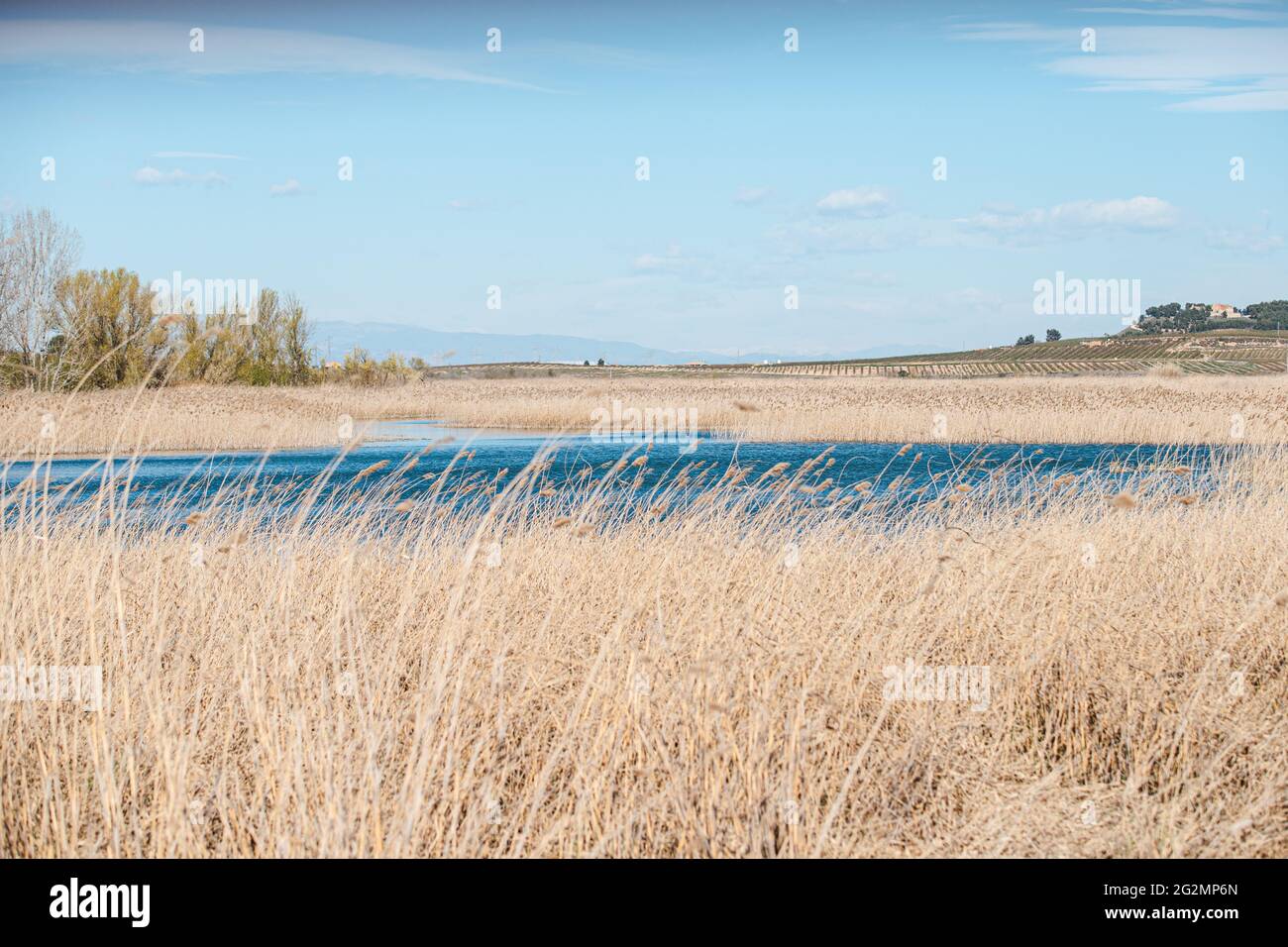 See mit blauem Wasser und Vögeln Stockfoto