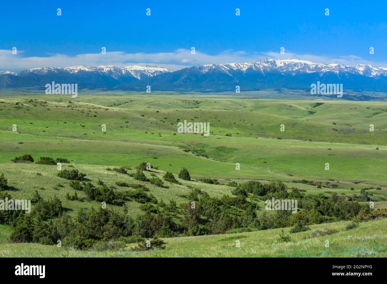 Weite, hügelige Ausläufer unterhalb der fernen beartooth Mountains in der Nähe von Absorakee, montana Stockfoto