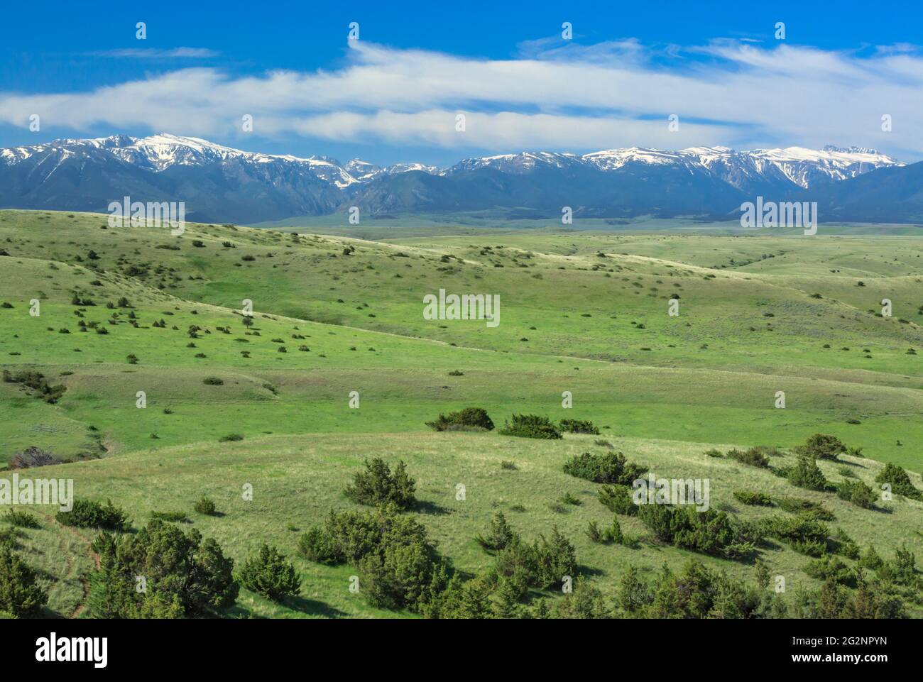 Weite, hügelige Ausläufer unterhalb der fernen beartooth Mountains in der Nähe von Absorakee, montana Stockfoto