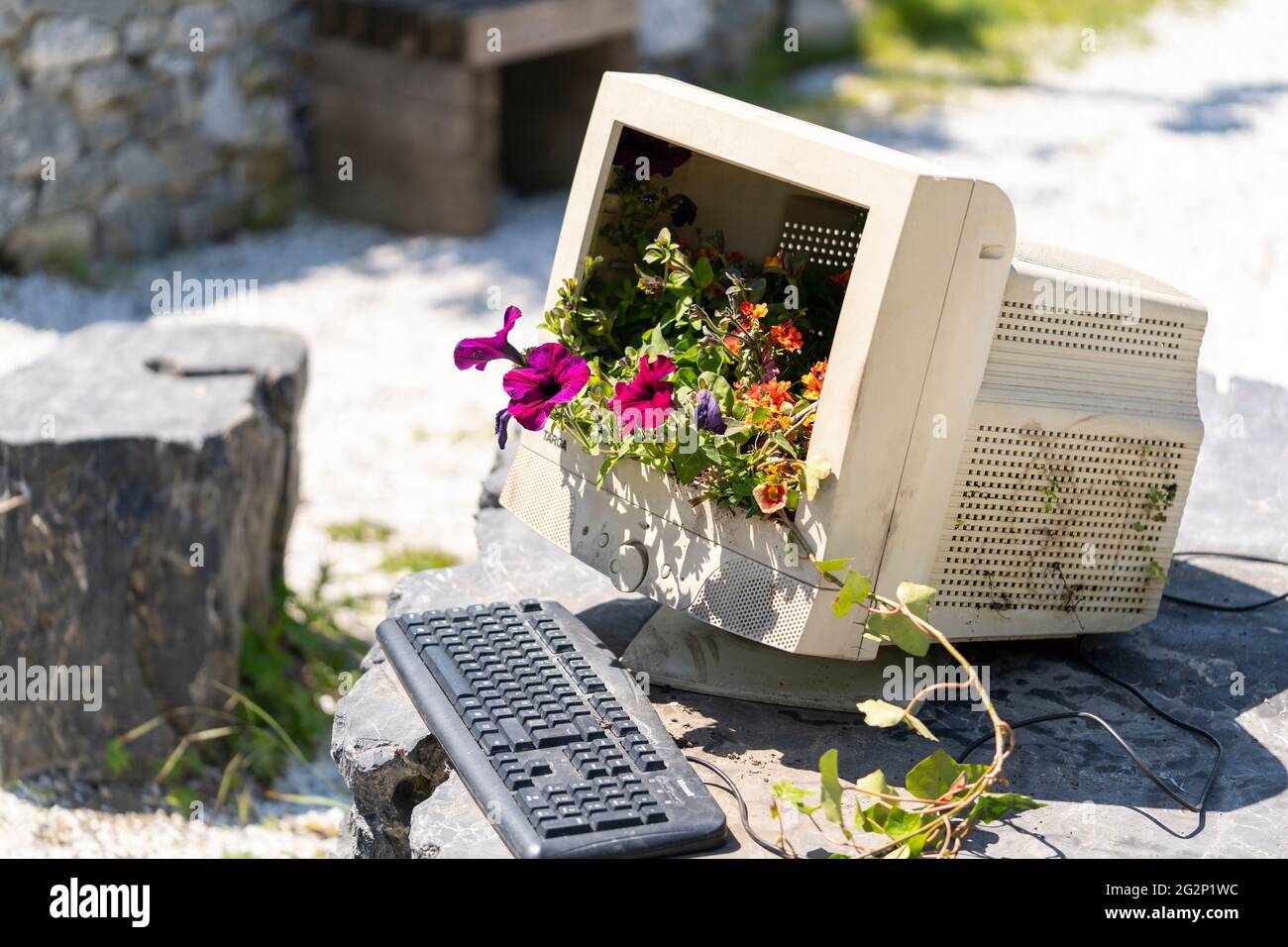 Ein wiederverwendeter/recycelter Computermonitor mit Blumen, die aus dem zerbrochenen Bildschirm in den Gärten des Kittenberger Erlebnisgarten Austria wachsen Stockfoto