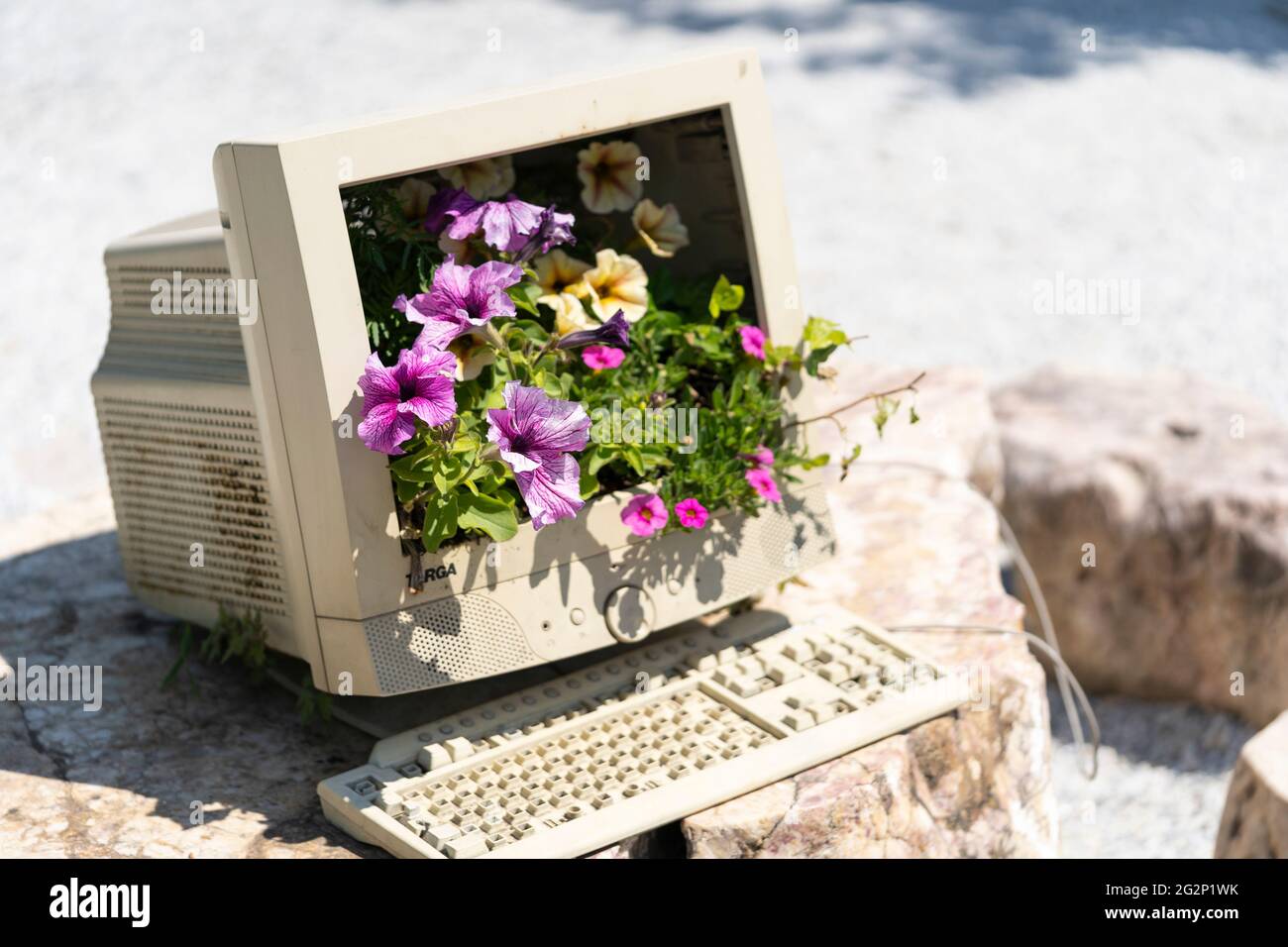 Ein umgebauter/recycelter Computermonitor mit Blumen, die aus dem zerbrochenen Bildschirm in den Gärten des Kittenberger Erlebnisgartens in Österreich wachsen Stockfoto