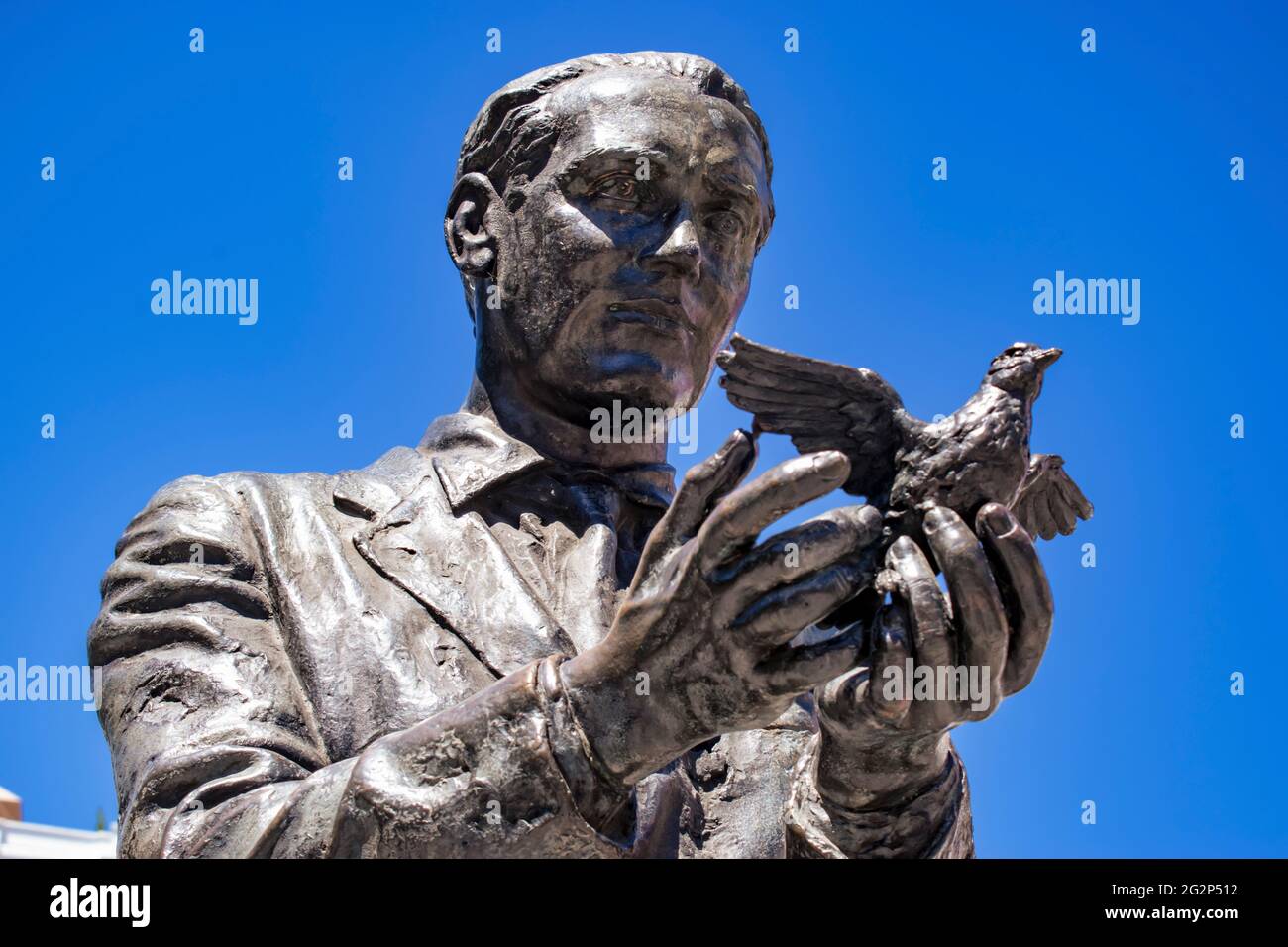 Detail, Statue des Dichters und Dramatikers Federico García Lorca mit einer Taube in den Händen zum Take Flight. Plaza de Santa Ana, Saint Anne Square, IS Stockfoto