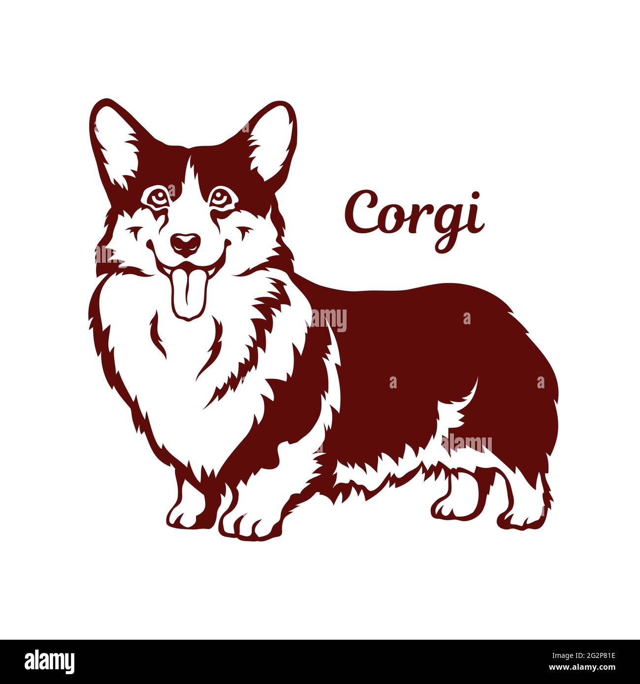 Welsh Corgi Cardigan Hund. Vektorgrafik auf weißem Hintergrund. Stock Vektor