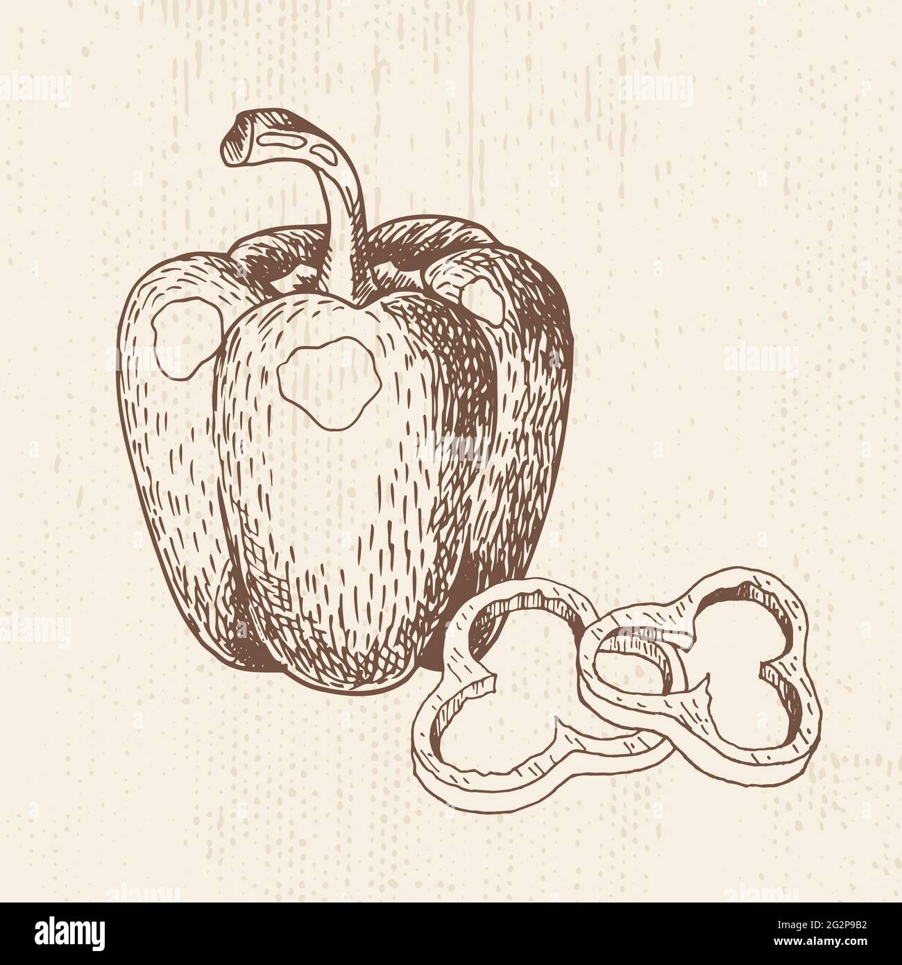 Paprika mit Scheiben. Detaillierte Zeichnung vegetarischer Speisen. Landwirtschaftlicher Markt. Handgezeichnete Vektorgrafik. Stock Vektor