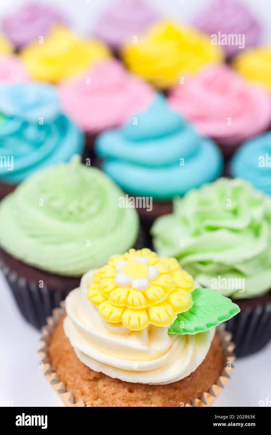 Cupcakes oder Cupcakes mit Glasur oder Zuckerguss, rosa, gelbe Blumen und Creme mit grünen Blättern und floralen Dekorationen, fotografiert auf einer weißen Backgrou Stockfoto