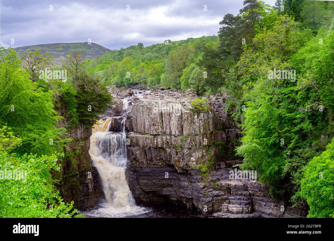 Schöner High Force Wasserfall in Upper Teesdale, County Durham, England im Frühling Stockfoto