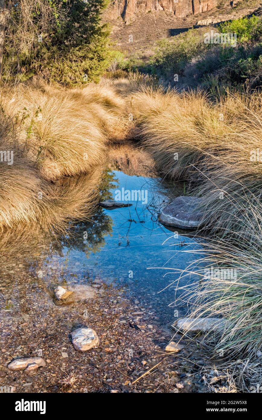 Ufergebiet im Pinto Canyon, Chinati Mountains, Future State Park, Big Bend Country, Texas, USA Stockfoto