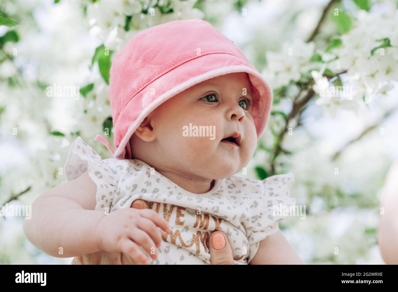 Porträt eines niedlichen Mädchen mit blauen Augen in einem rosa Hut. Nahaufnahme. Weichfokus. Happy Childhood Konzept. Lifestyle-Fotografie. Blühende Apfelbäume Stockfoto