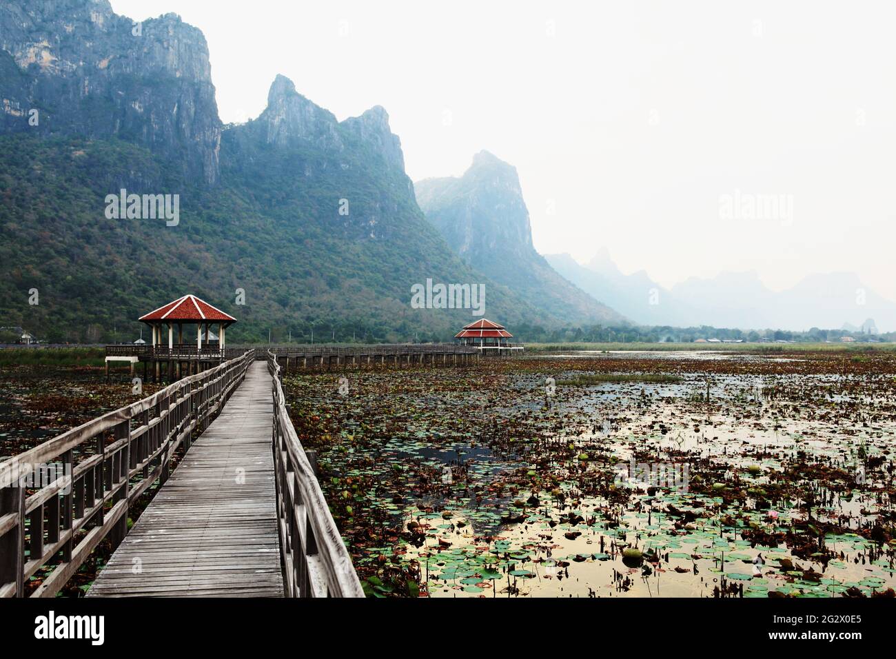 Feuchtgebiet im Khao Sam ROI Yot National Park, Holzbrücke und Pavillon mit dem Kalksteinberg, der Weg auf der Lagune, eine der Hauptattraktionen Stockfoto