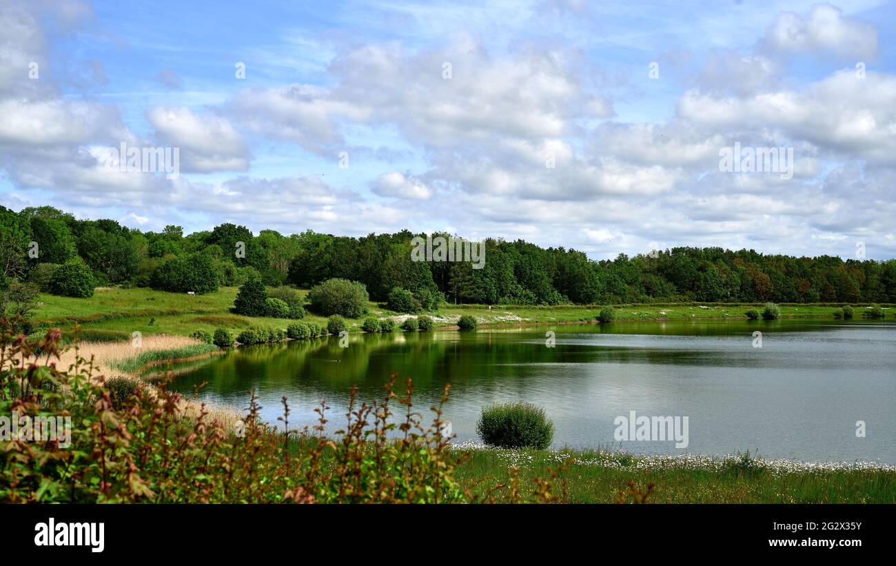 Landschaft am Arlington Reservoir Stockfoto