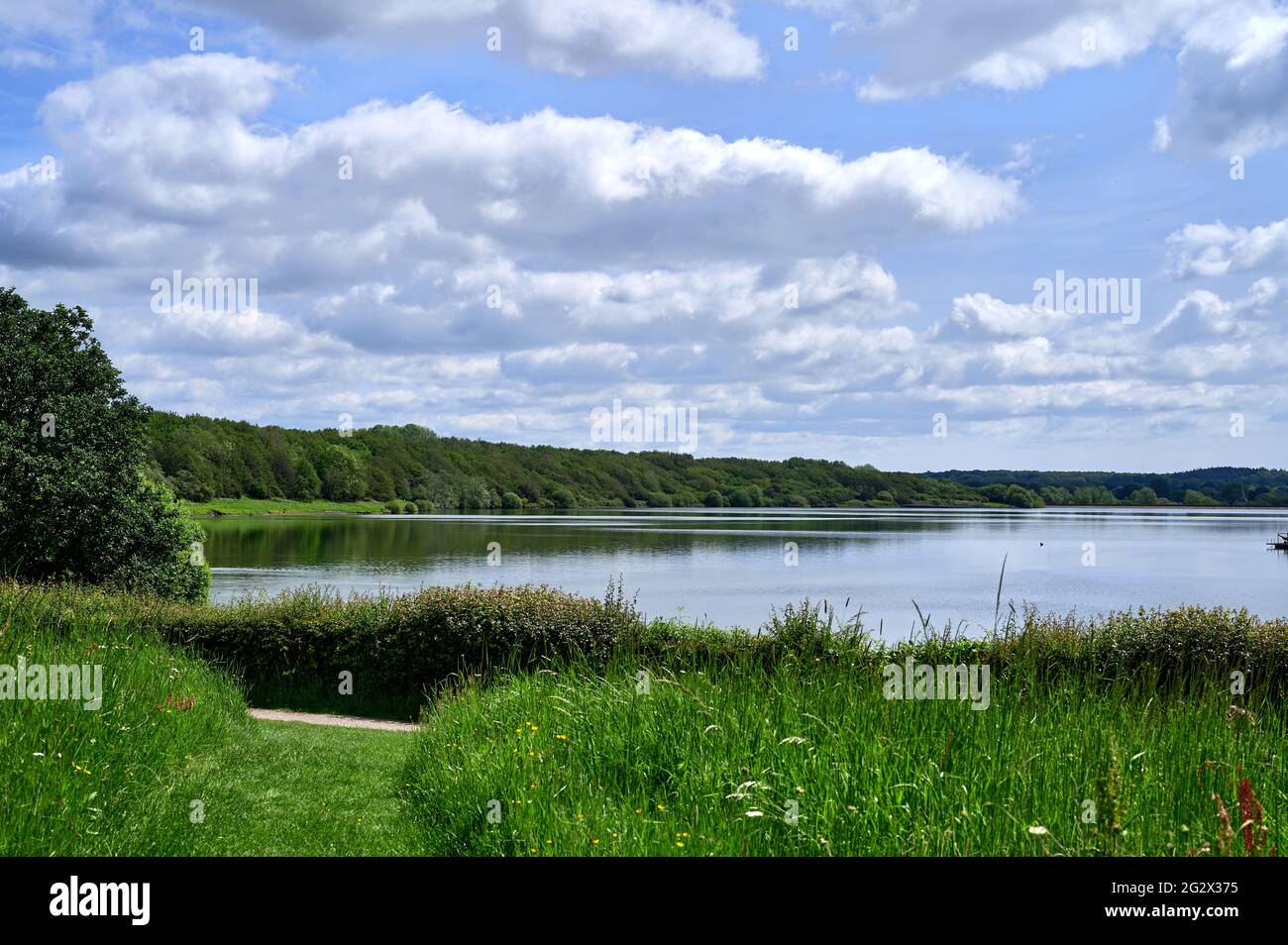 Landschaft am Arlington Reservoir Stockfoto