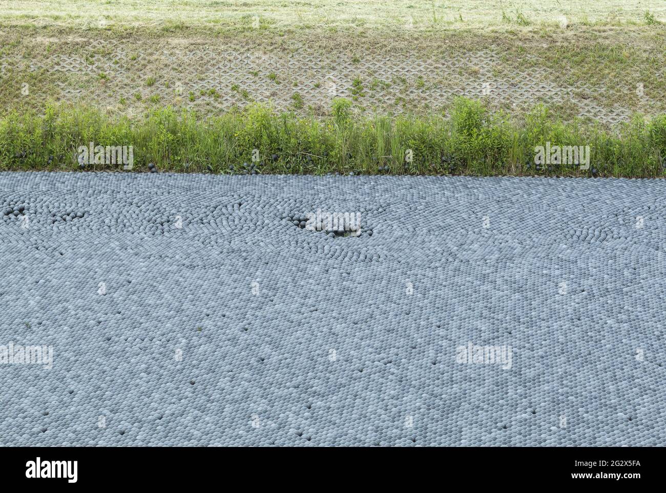 Schwarze Kugeln zum Schutz der Reservoirs vor der Sonne. Schattenkugeln, kleine Plastikkugeln im Teich, um Vögel fernzuhalten Stockfoto