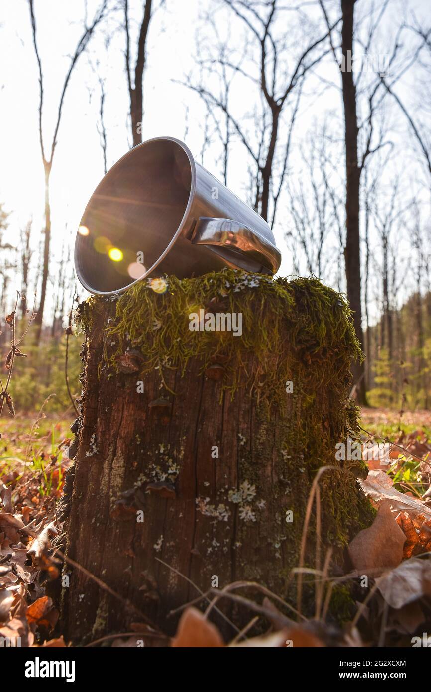 Eisenkrug liegt im Wald auf einem Stumpf Stockfoto