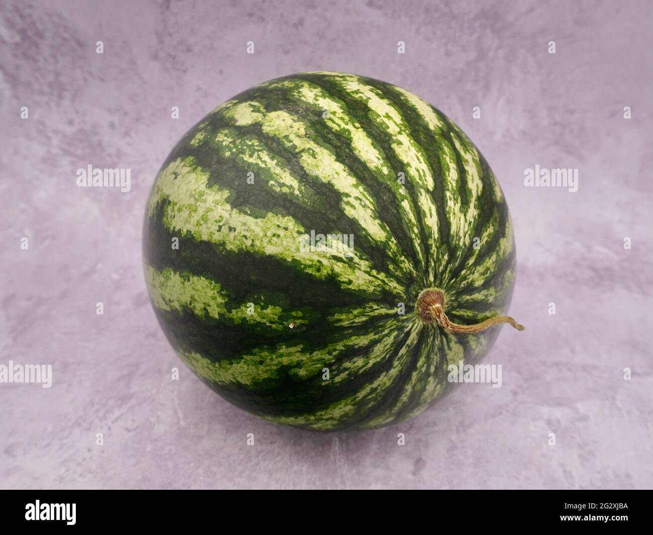 Eine einzige ganze Wassermelone (citrullus lanatus) Stockfoto