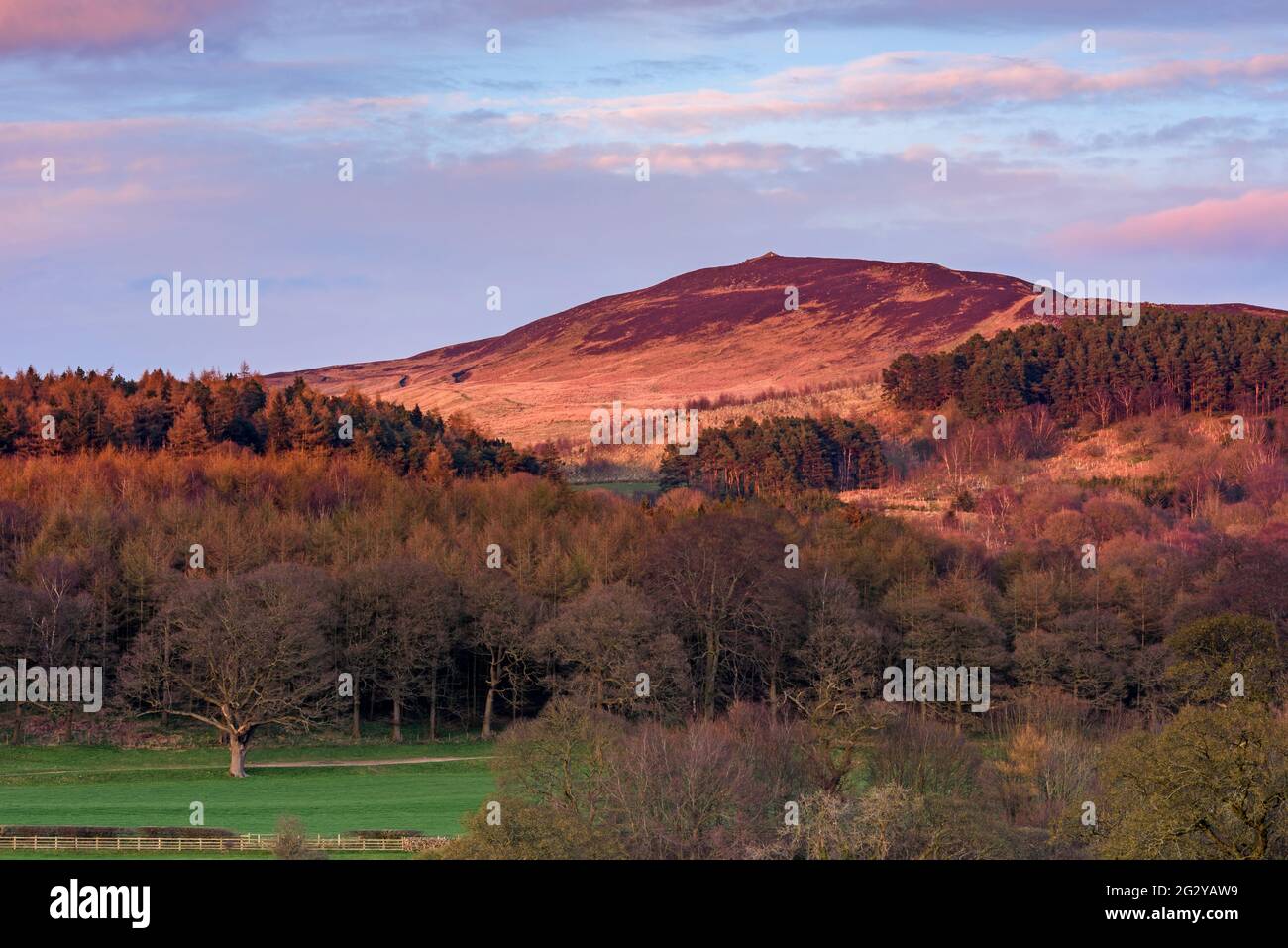 Sonniger Frühlingsabend, szenischer Blick (steiler Hügel und Hügel, Waldbäume, Hochland und Fjells unter rosa blauem Himmel) - Beamsley Beacon Summit, England, Großbritannien. Stockfoto