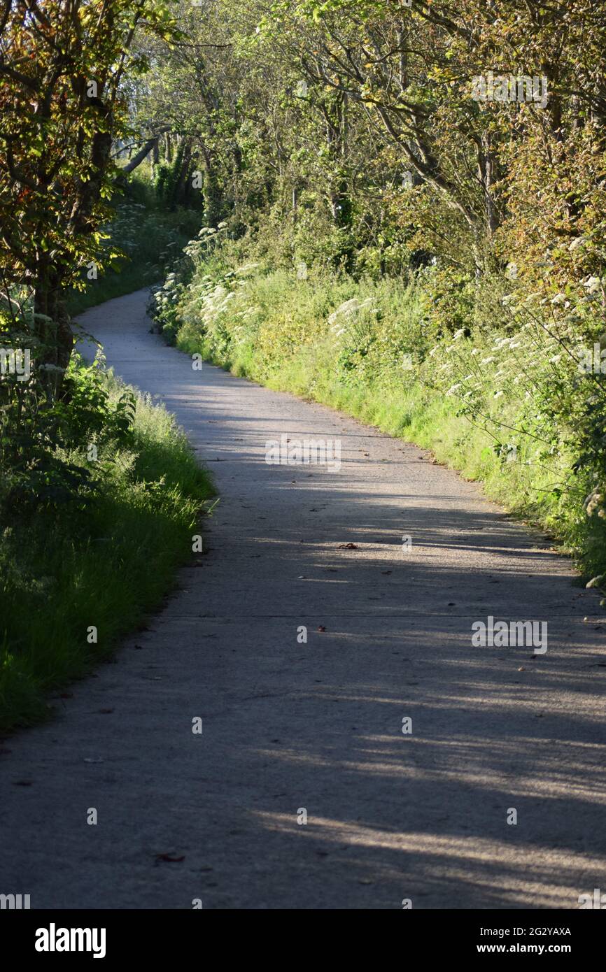 Curving Country Lane Stockfoto