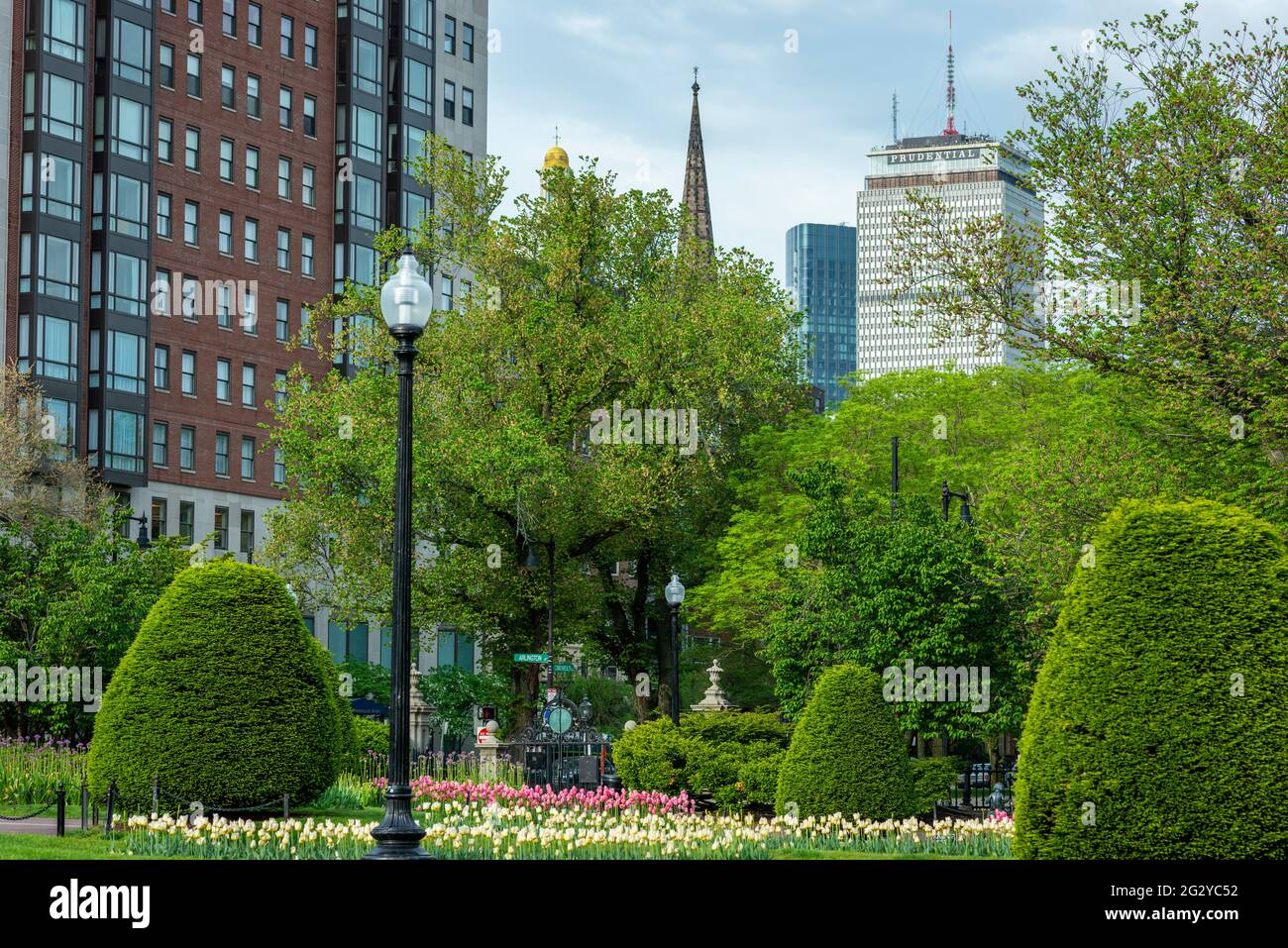 Morgenfoto des Boston Public Garden im Frühjahr mit dem Prudential Center im Hintergrund. Stockfoto