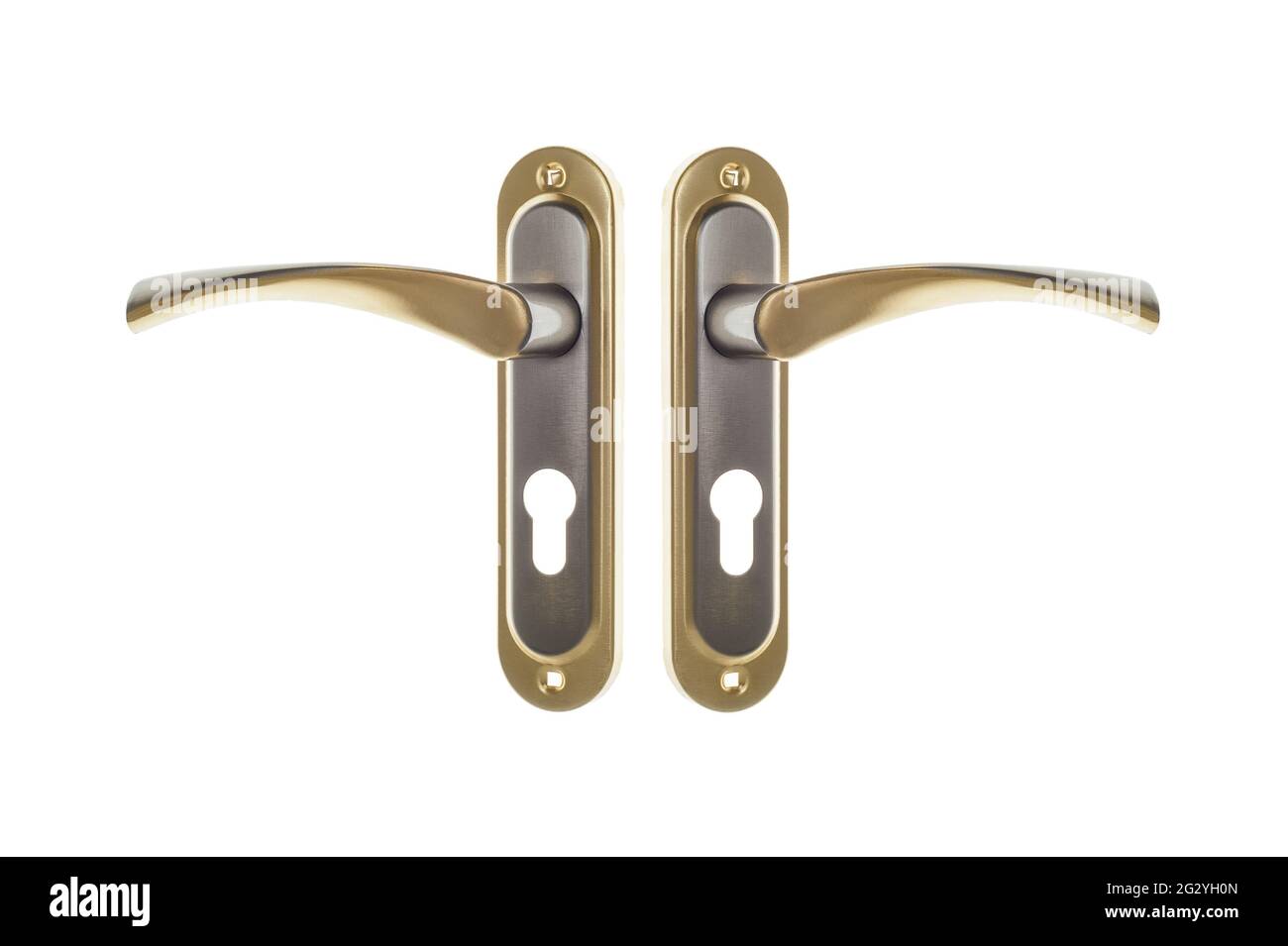 Moderner Türgriff in Silber und Gold mit floralem Ornament. Flaches, auf weißem Hintergrund isoliertes Objekt. Stockfoto