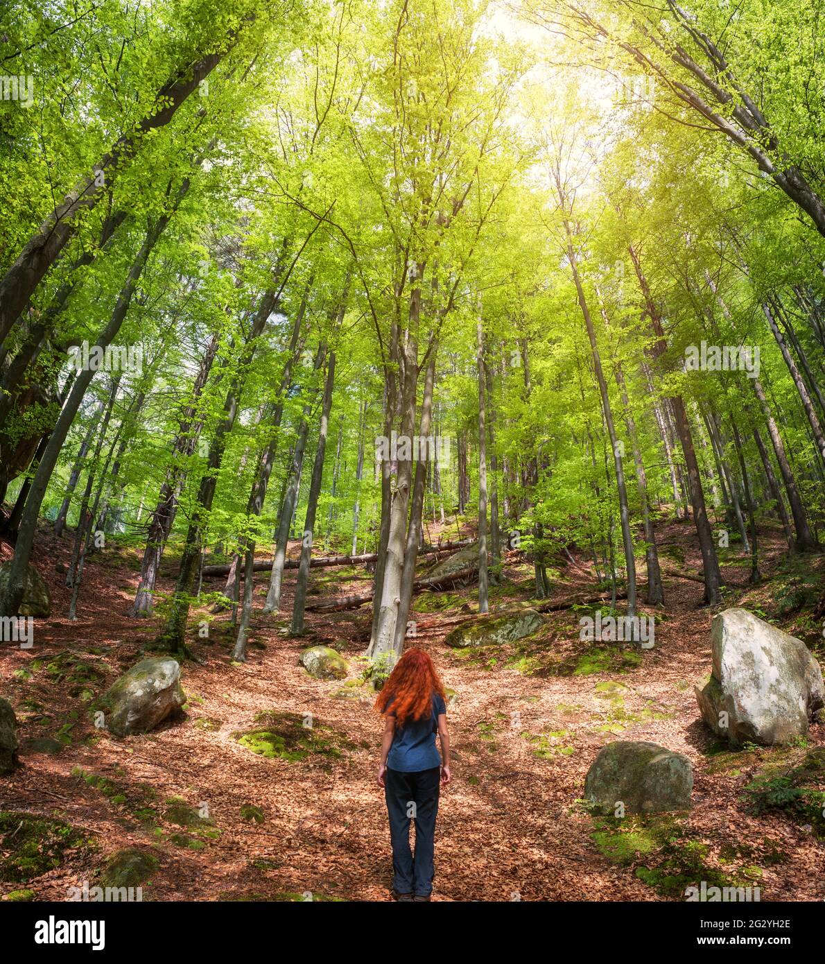 Rothaarige junge Frau, die im grünen Frühlingswald steht und die Aussicht genießt. Konzept des aktiven Lebens. Stockfoto