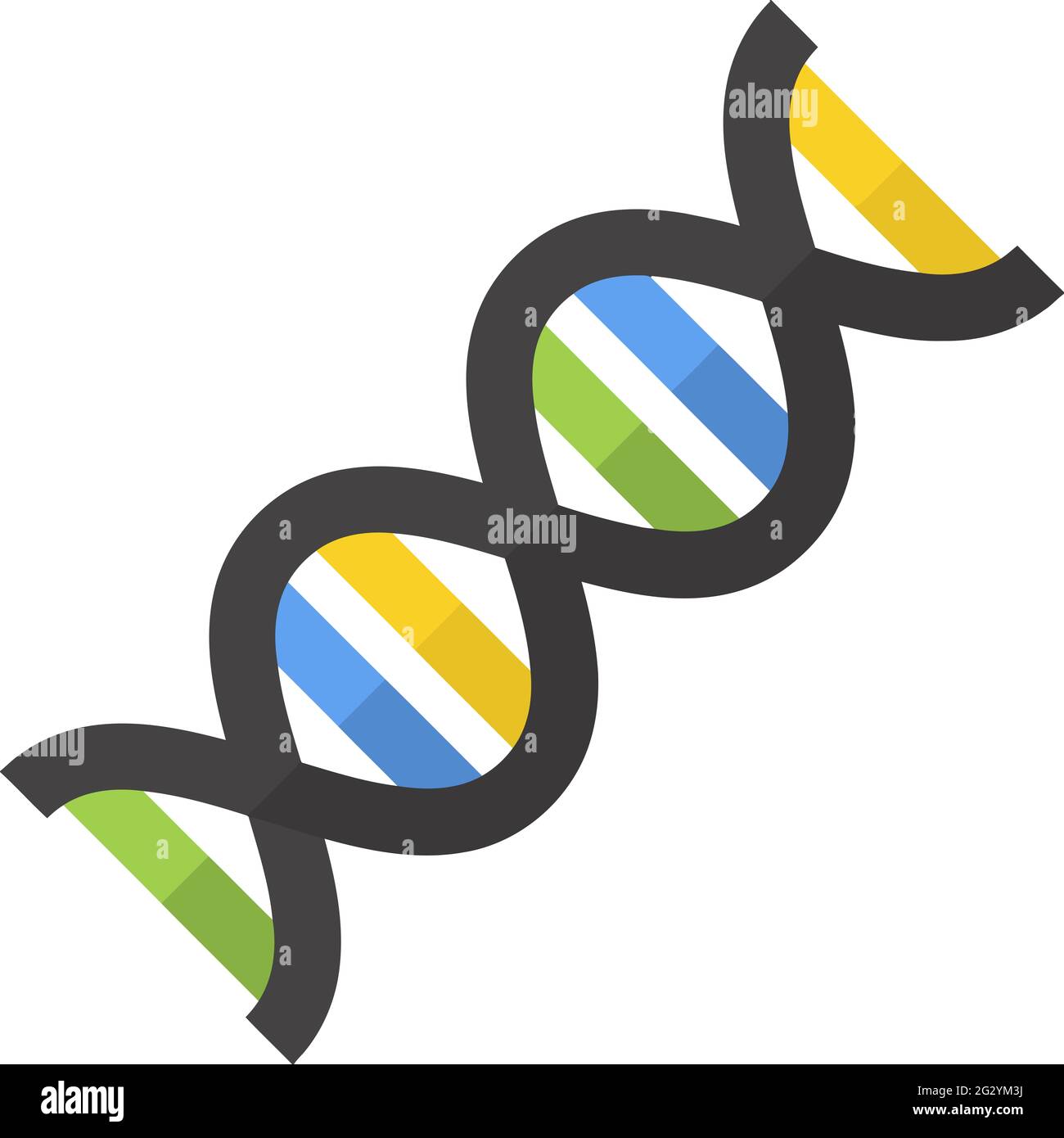 DNA-Genbiologie Lebensdarstellung Stockfoto