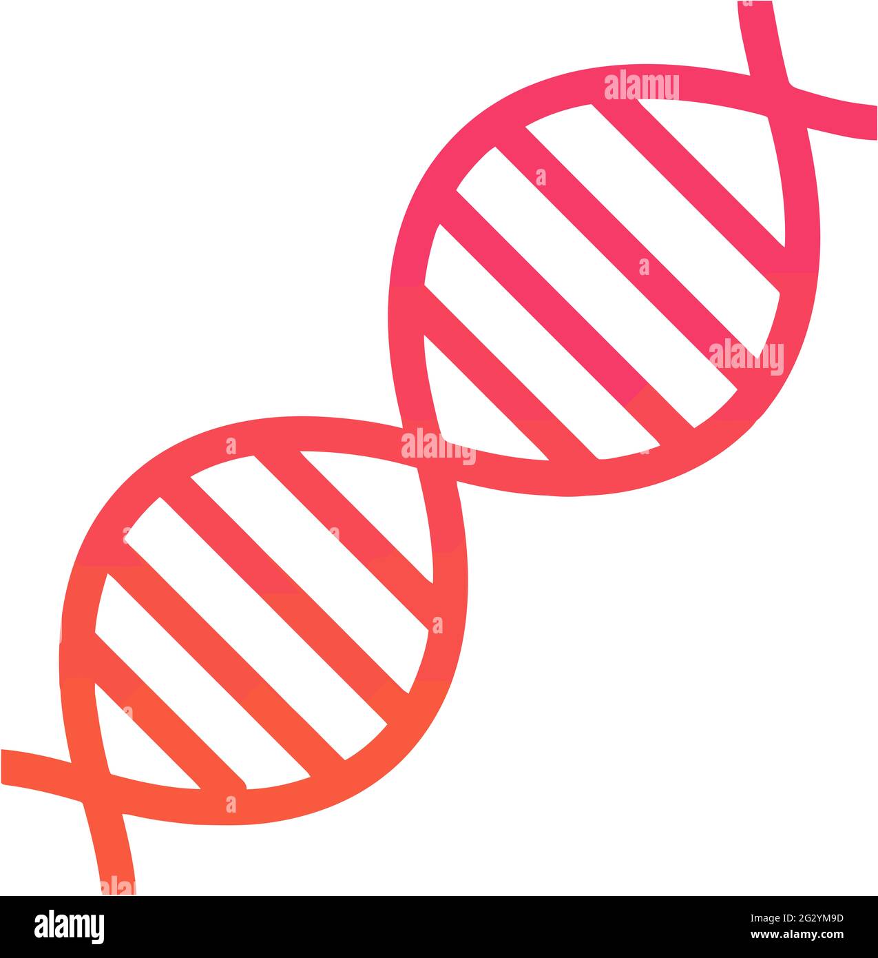 DNA-Genbiologie Lebensdarstellung Stockfoto