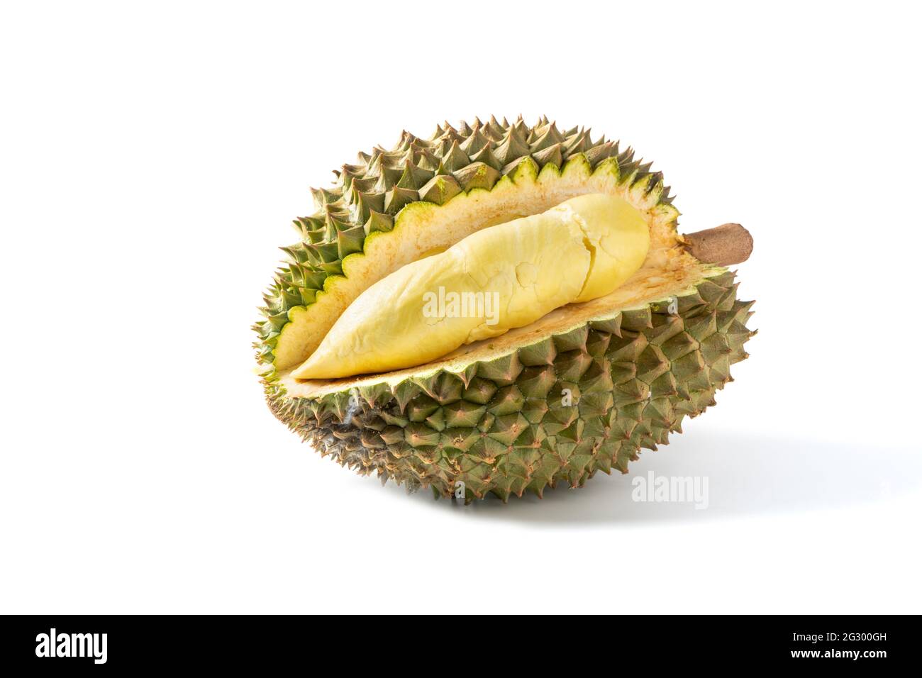 Reife Monthong Durian Frucht isoliert auf weißem Hintergrund, König der Früchte in Thailand Stockfoto