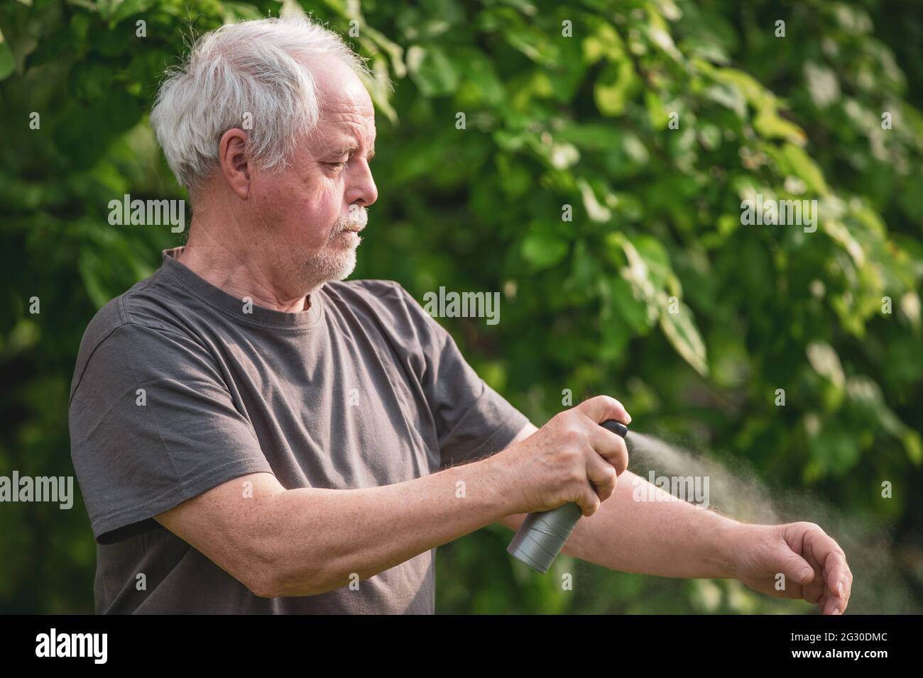 Senior Mann sprühen oder mit Repellent gegen Art von Insekten, Mücken und Zecken im Wald, Schutzspray, Gesundheitskonzept Stockfoto