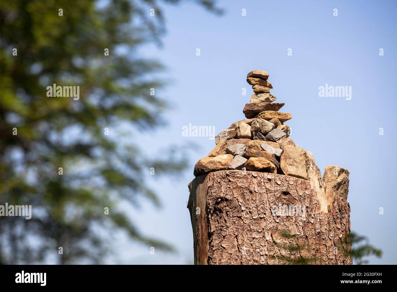 Kleine Steinpyramide auf einem Baumstamm im Königswald bei Bergisch Gladbach, Nordrhein-Westfalen, Deutschland. kleine Steinpyramide auf einem Bau Stockfoto