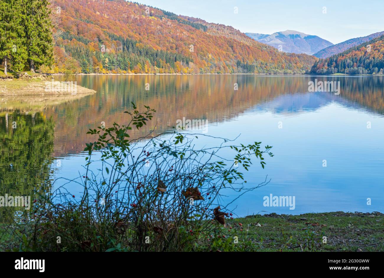 Vilshany Wasserreservoir am Tereblya Fluss, Transkarpatien, Ukraine. Malerischer See mit Wolken Reflexion. Schöner Herbsttag in Karpaten M Stockfoto