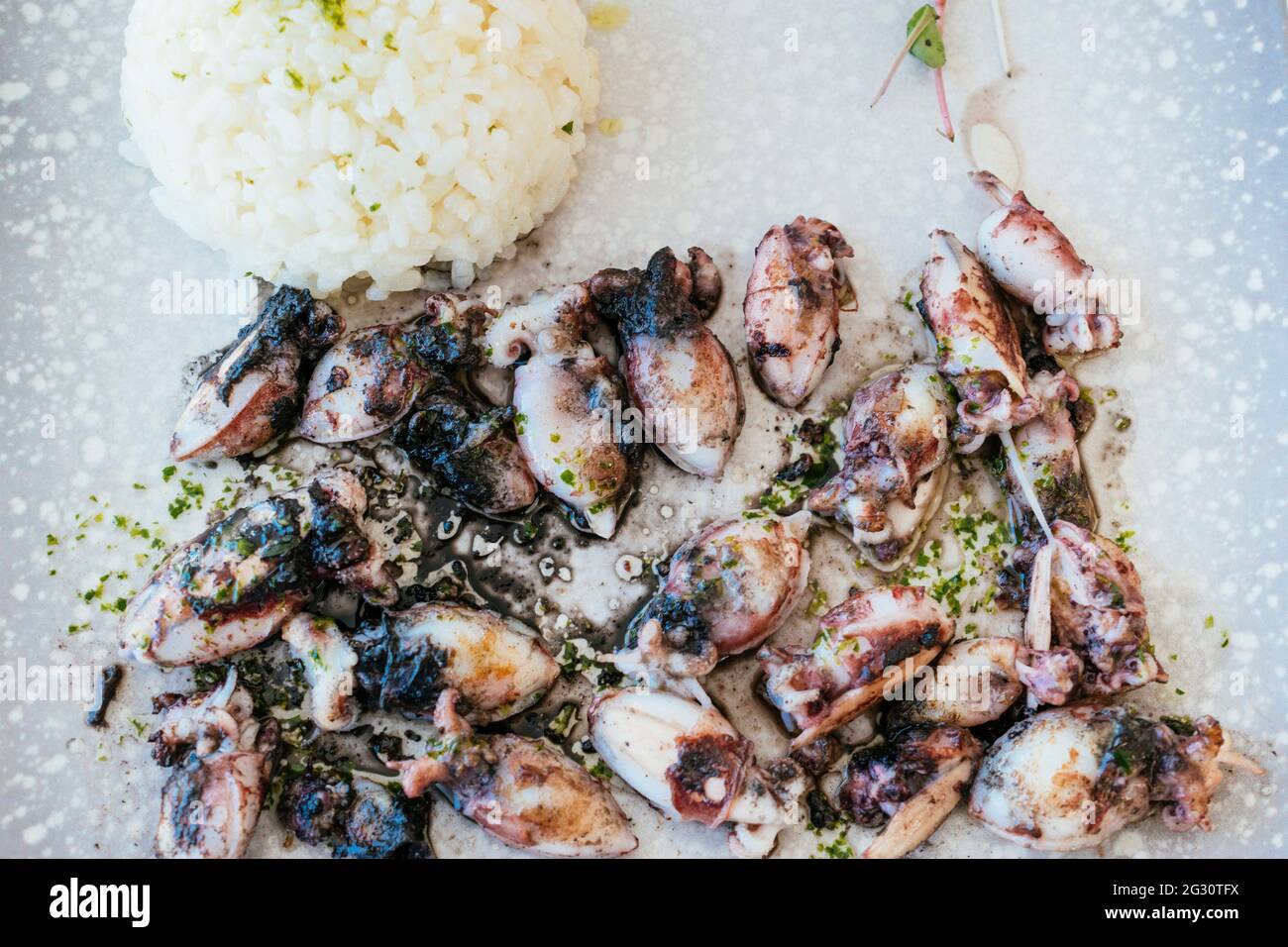 Typisch andalusisches Essen. Chopitos gegrillt. Choquitos - Chopitos, Mitglieder der Arten Sepia elegans und Sepia orbignyana, sind in der Regel klein. Stockfoto