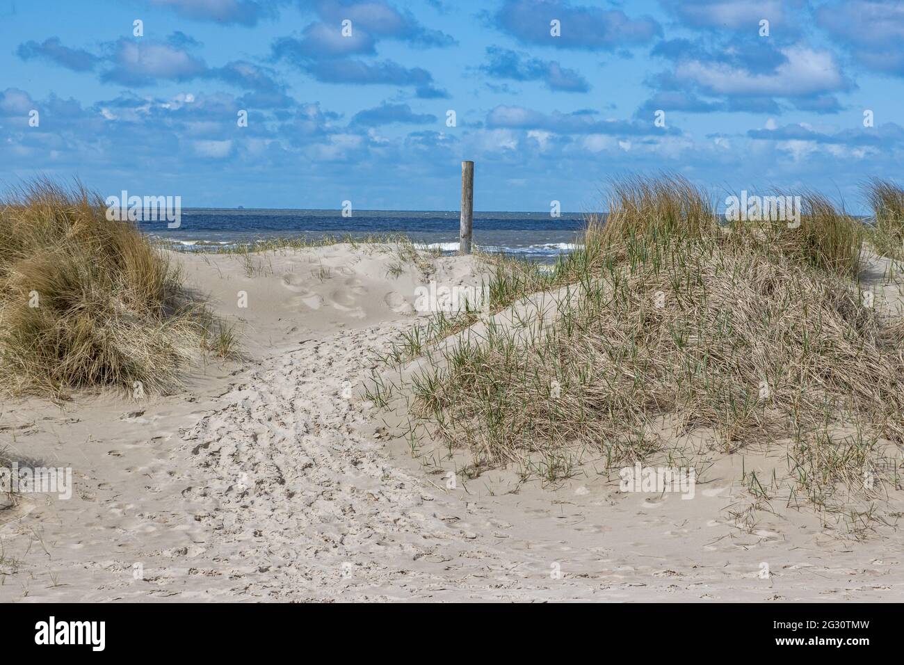 Pfad zwischen Küstendünen, wildem Gras mit Strand und Meer im Hintergrund, sonniger Frühlingstag mit blauem Himmel und weißen Wolken in Hargen aan Zee, Norden Stockfoto