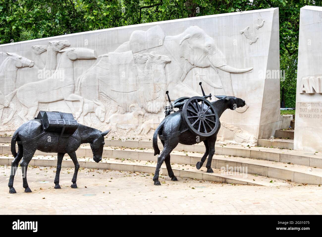 LONDON ENGLAND TIERE IM WAR MEMORIAL HYDE PARK ZWEI MAULTIERE HATTEN KEINE WAHL Stockfoto