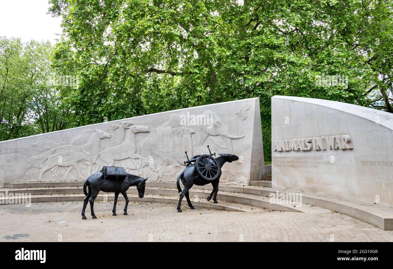 LONDON ENGLAND TIERE IN WAR MEMORIAL ODER DENKMAL HYDE PARK SIE HATTEN KEINE WAHL ZWEI MAULTIERE Stockfoto