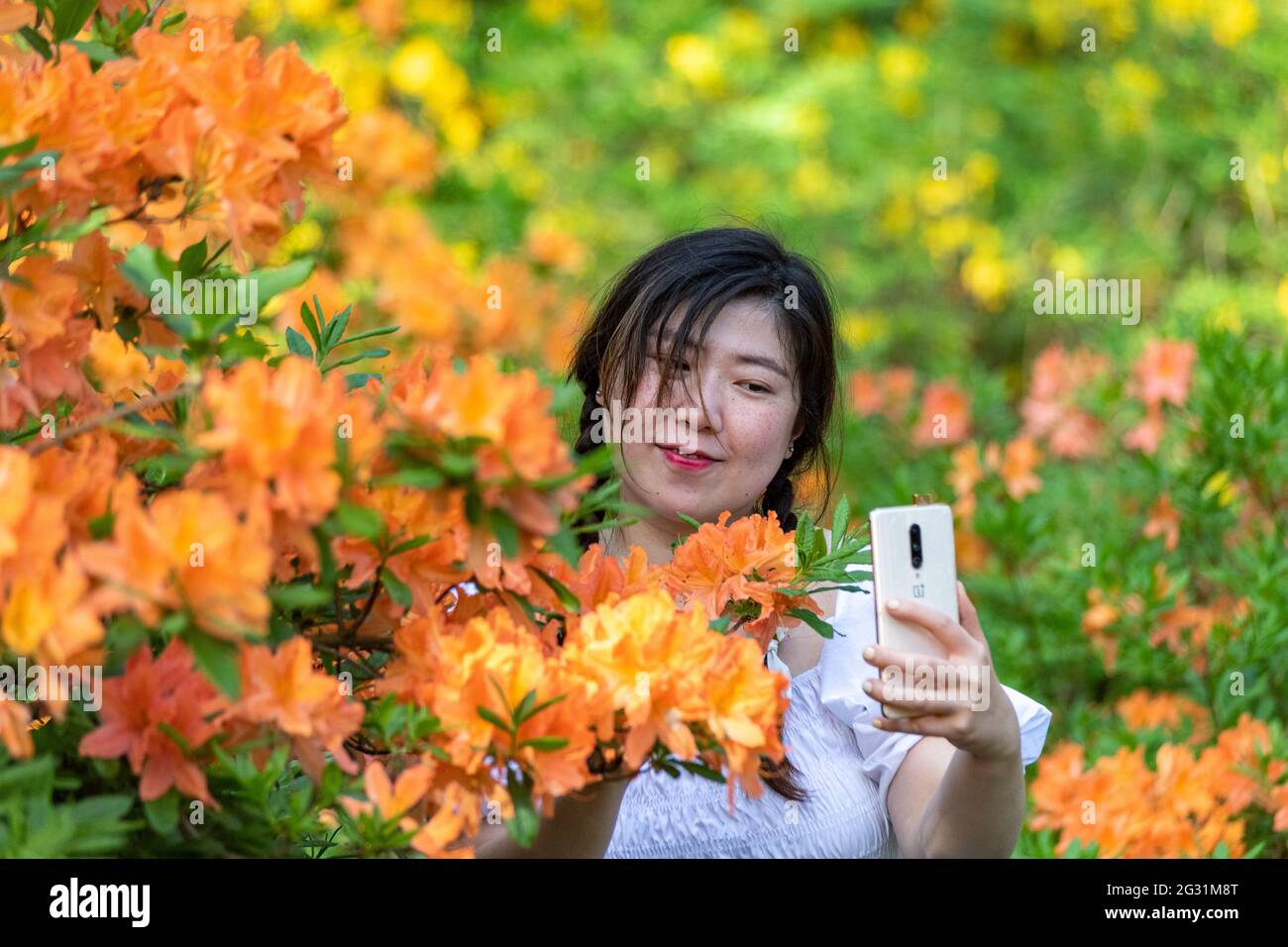 Junge Frau, die ein Selfie mit dem Mobiltelefon unter blühenden Rhododendronen im Haaga Rhododendron Park in Helsinki, Finnland, macht Stockfoto