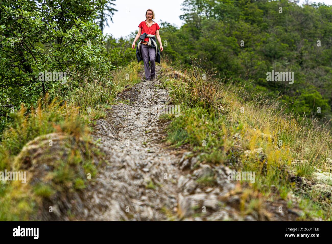 Wanderung über einen Schieferkammweg im Parc Hosingen, Luxemburg Stockfoto