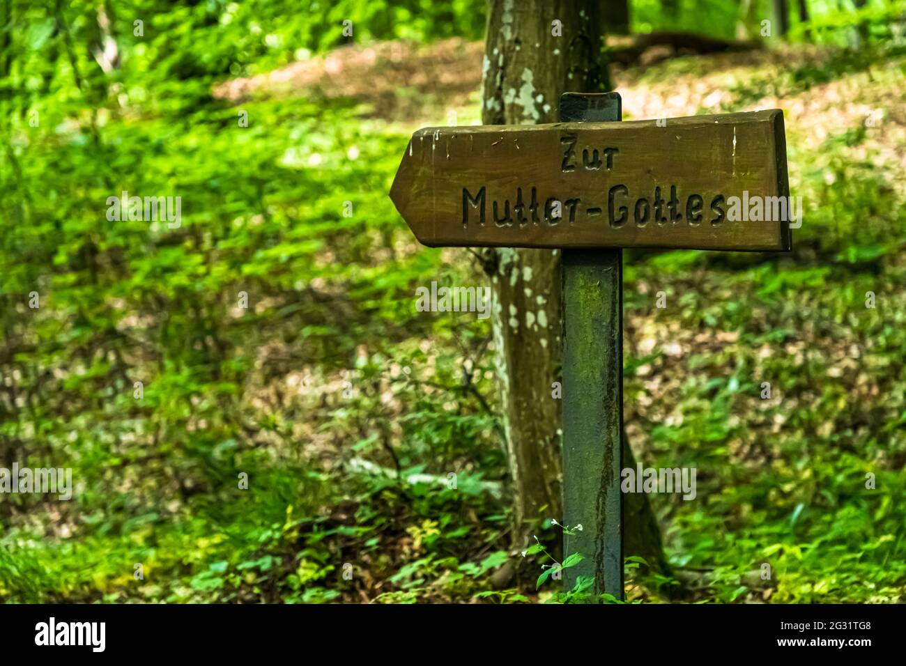 Markierte Wanderwege in Luxemburg. Das Zeichen weist auf die 'Mutter Christi' hin Stockfoto