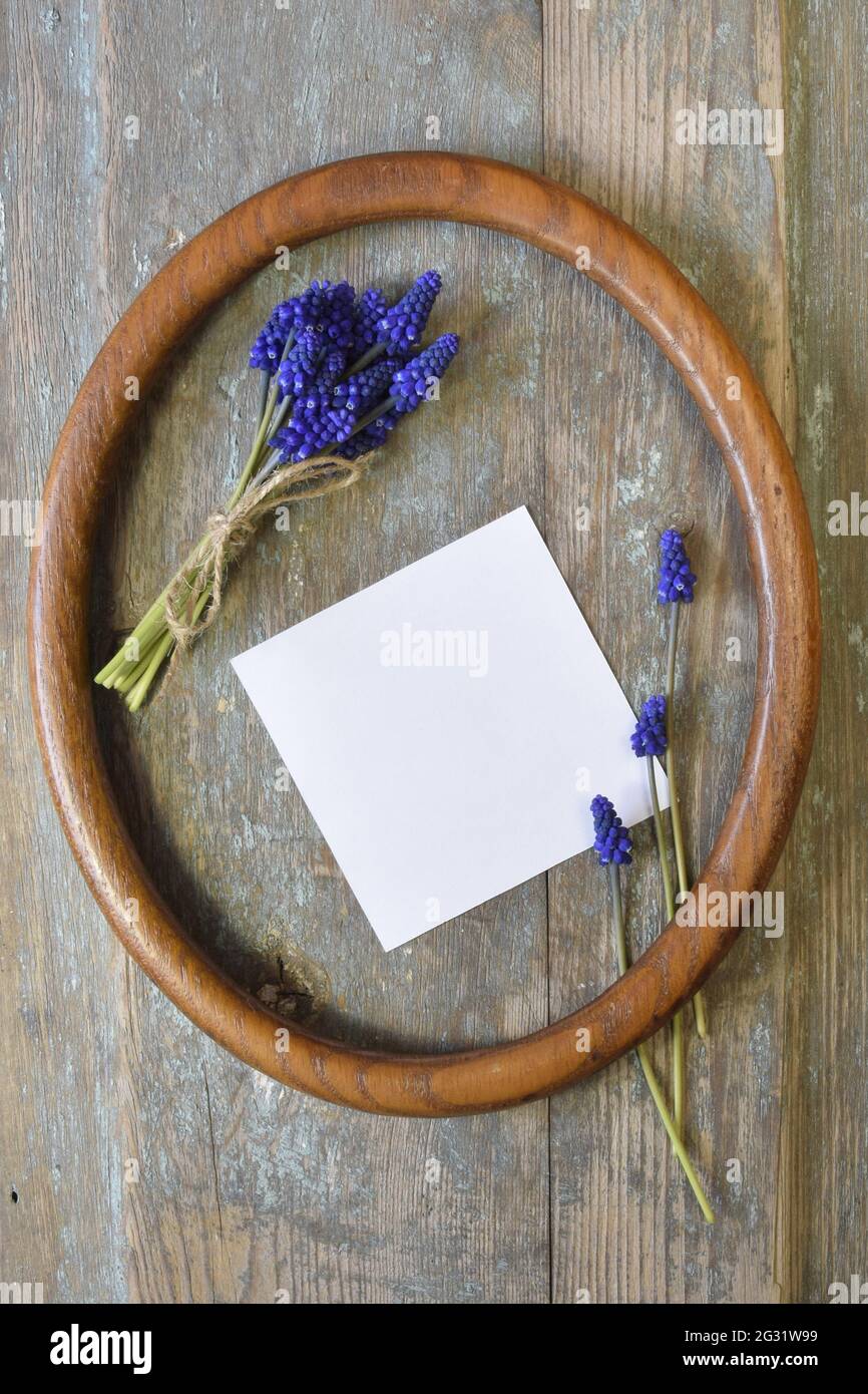 Strauß von hellen Frühlingsblumen Hyazinthe mit Garn gebunden, und weißes Blatt Papier in einem ovalen Rahmen auf alten hölzernen Hintergrund. Draufsicht, flach liegend. Stockfoto