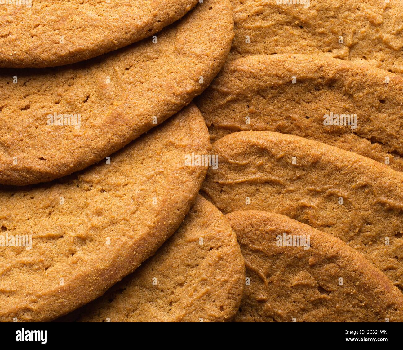 Bereit, Ingwer Snap Cookies zu essen. Stockfoto
