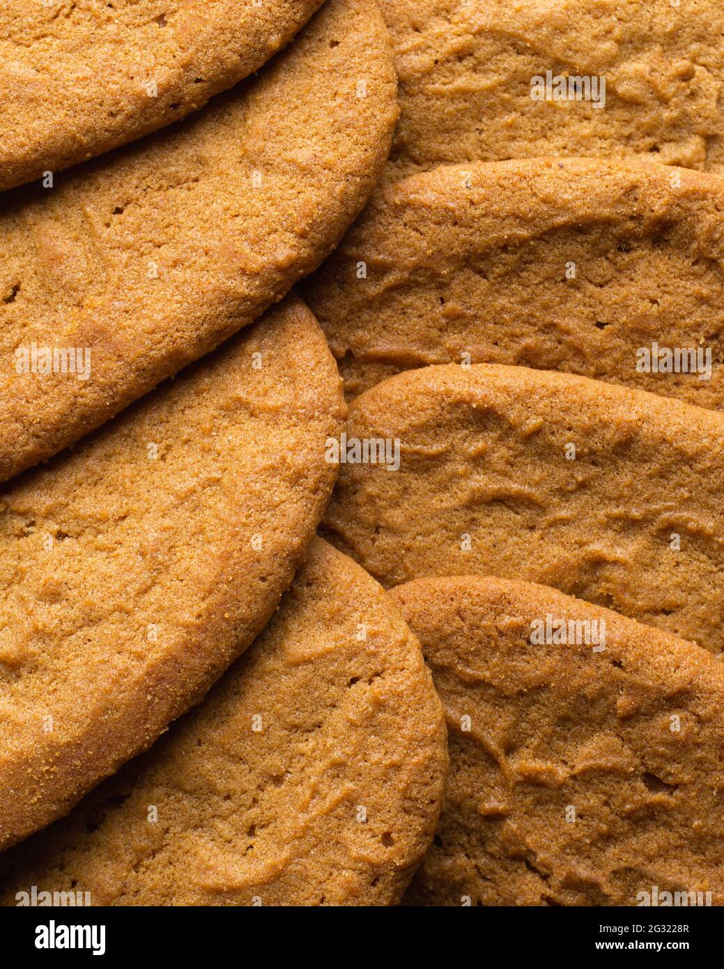 Bereit, Ingwer Snap Cookies zu essen. Stockfoto