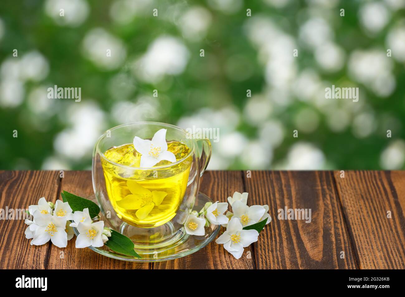 Glas Tasse grünen Tee mit Jasminblüten Stockfoto