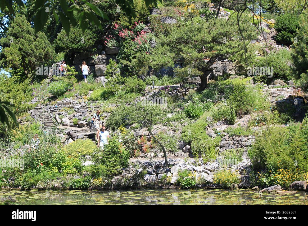 Botanischer Garten Der Universität Utrecht Stockfoto