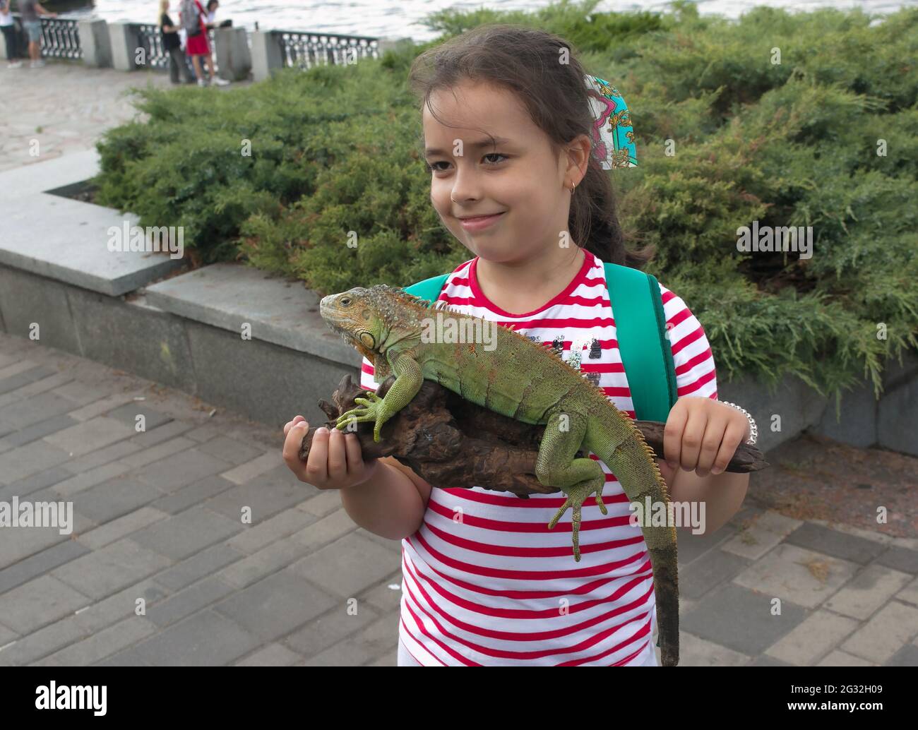 Dnepropetrovsk, Ukraine - 06.12.2021: Ein junges Mädchen hält einen grünen Leguan in den Armen. Emotionen eines Kindes beim Anblick eines Reptils. Stockfoto