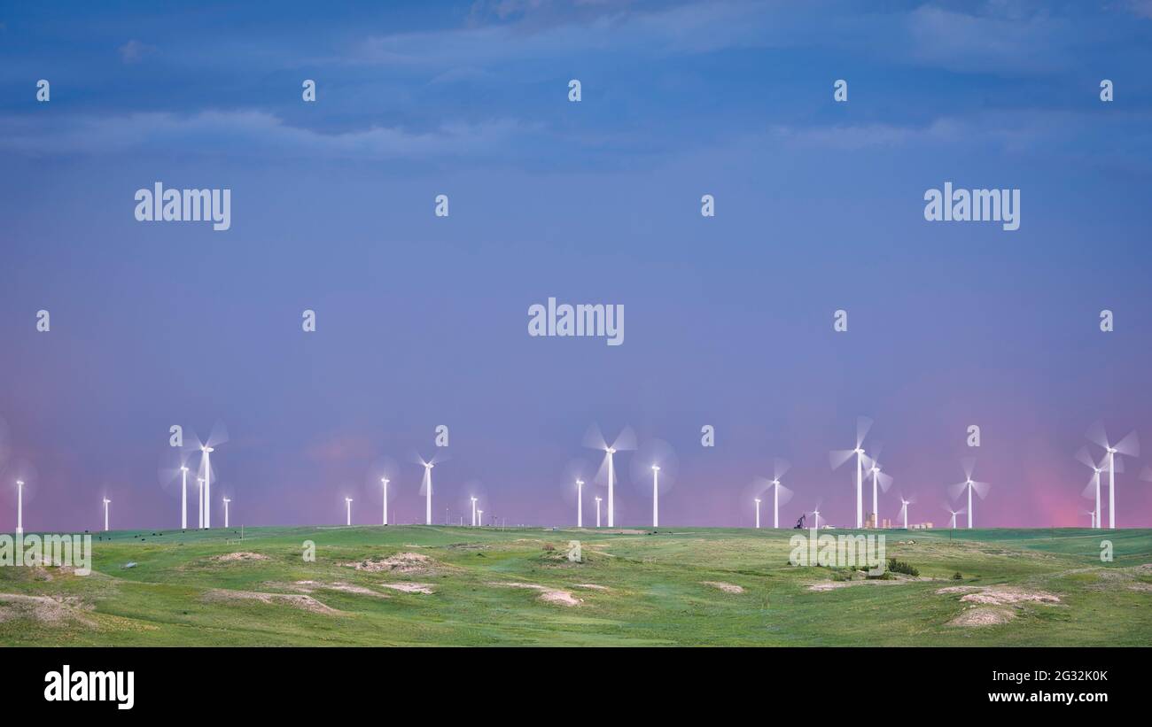 Natur, Landwirtschaft und Industrie - Windpark, Ölförderanlagen und Rinder in Pawnee National Grassland in Colorado, Spätsommer oder Frühsommer sce Stockfoto