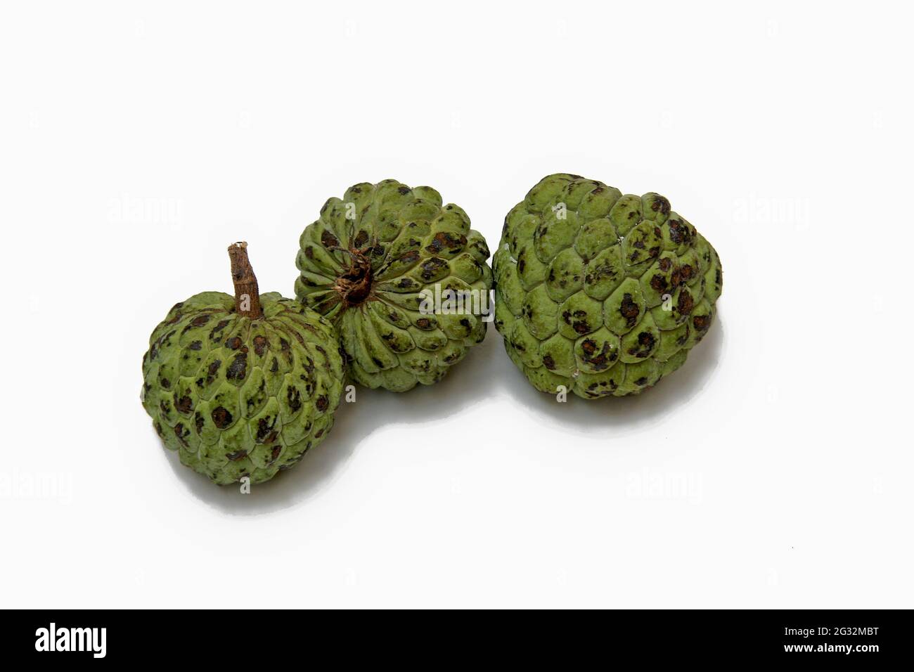 Grüne, schuppige Pudding-Apfel-Früchte mit langen, schwarzen Samen isoliert auf weißem Hintergrund Stockfoto