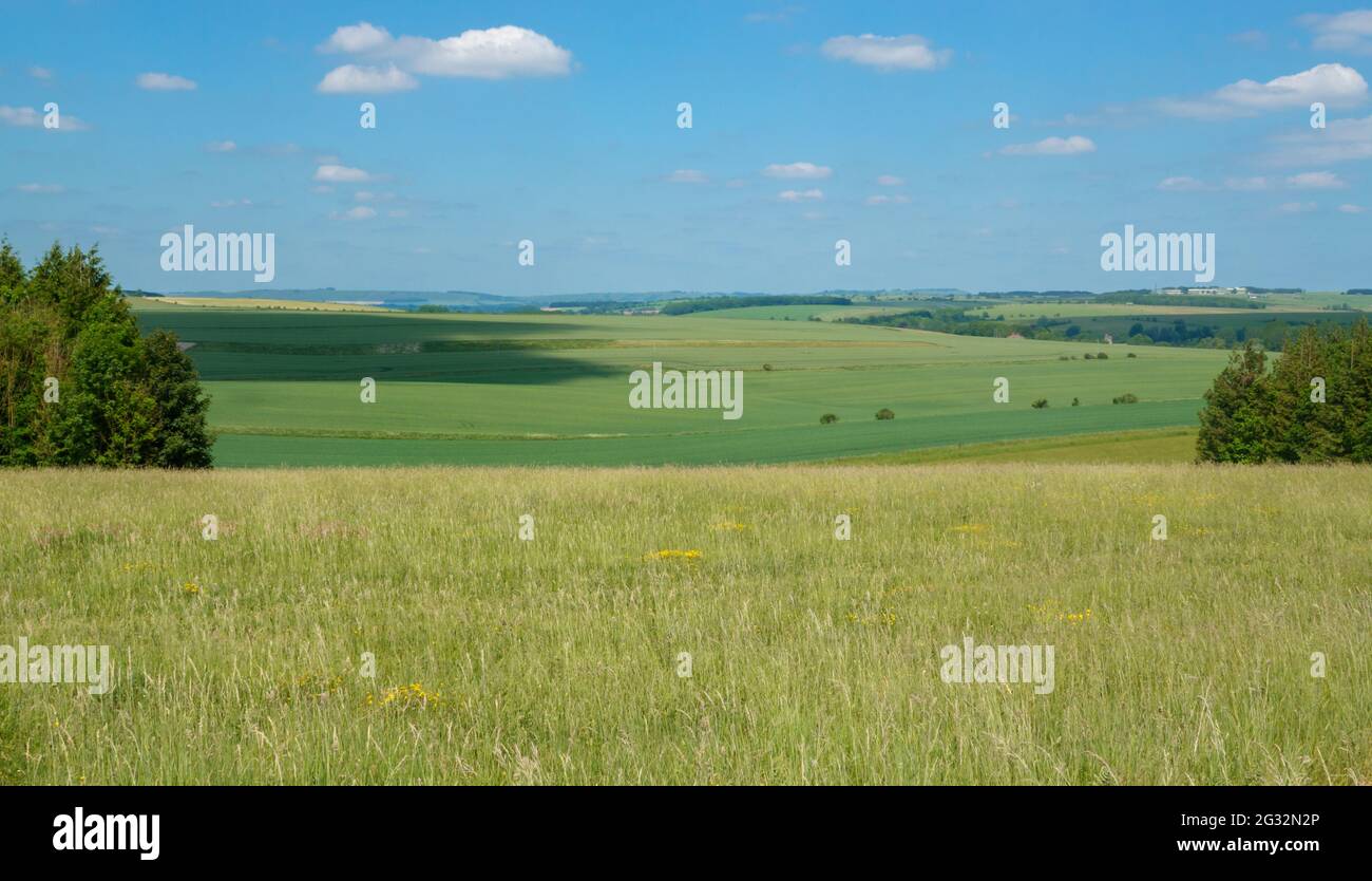 Malerischer Panoramablick über die Salsibury Plain mit Wiesen, Feldern, Bäumen und einem wunderschönen blauen Himmel Stockfoto