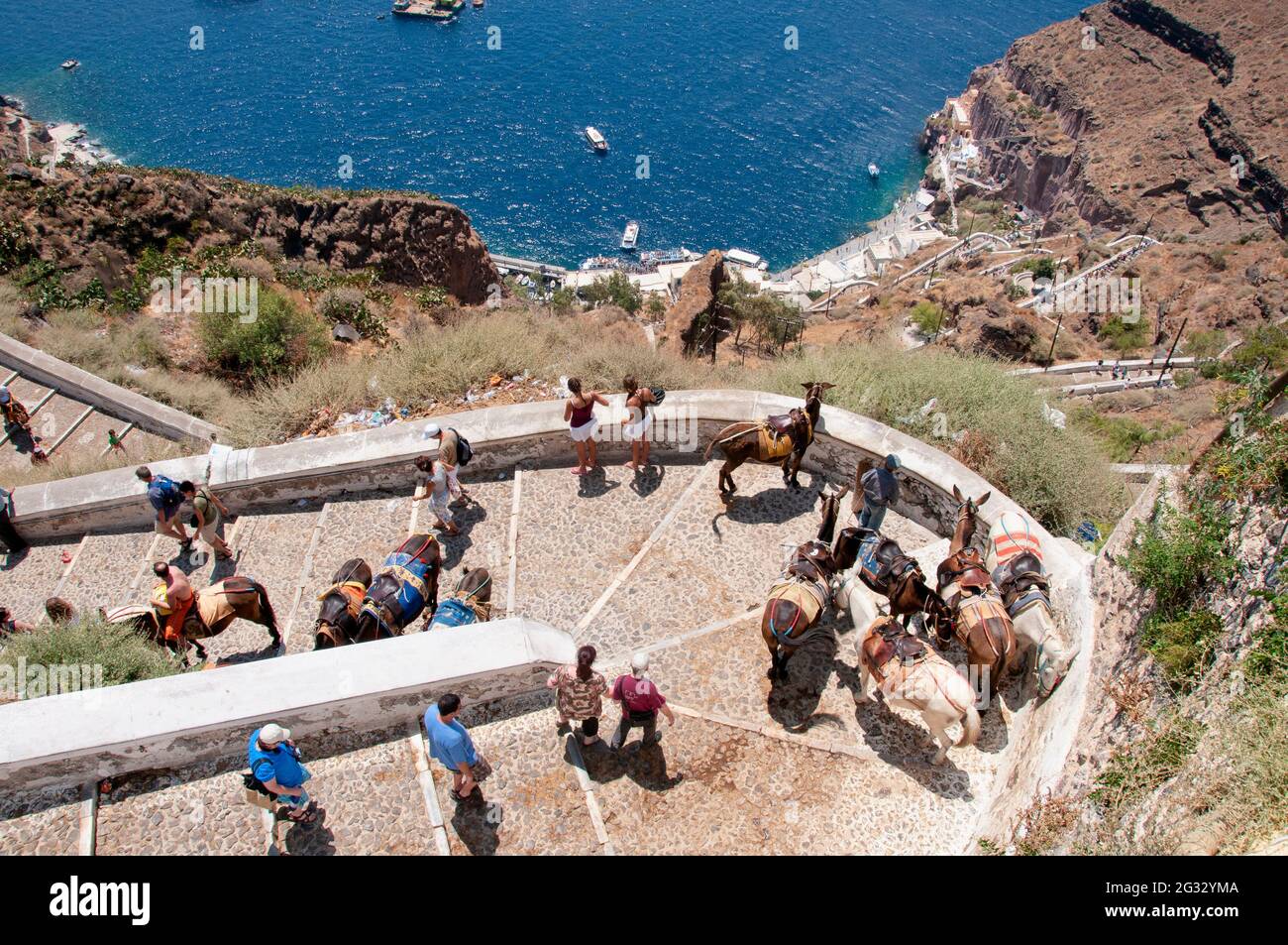 Eine Luftaufnahme einer Gruppe von Touristen mit Maultierkabinen auf Santorini, Griechenland. Esel Taxis transportieren Touristen Stockfoto